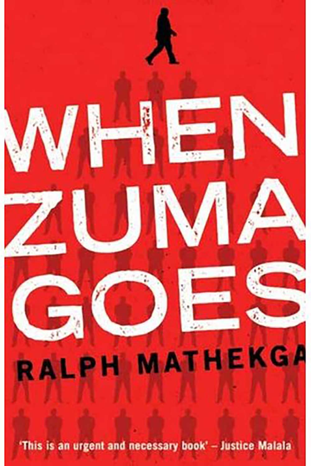 When Zuma Goes